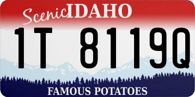ID license plate 1T8119Q