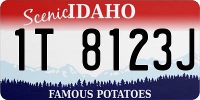 ID license plate 1T8123J
