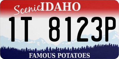ID license plate 1T8123P
