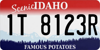 ID license plate 1T8123R
