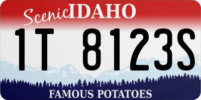 ID license plate 1T8123S