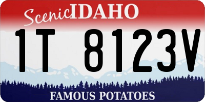 ID license plate 1T8123V