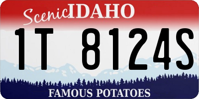 ID license plate 1T8124S