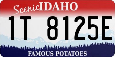 ID license plate 1T8125E