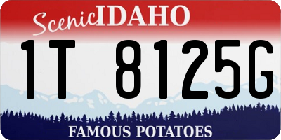 ID license plate 1T8125G