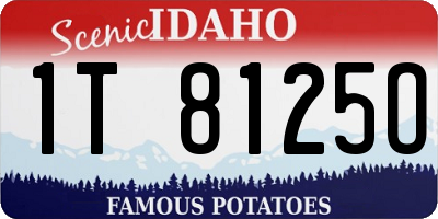 ID license plate 1T8125O