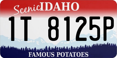 ID license plate 1T8125P