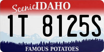 ID license plate 1T8125S