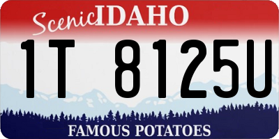 ID license plate 1T8125U