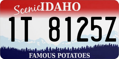 ID license plate 1T8125Z