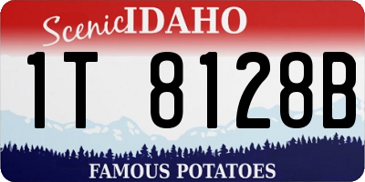 ID license plate 1T8128B