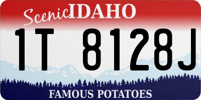 ID license plate 1T8128J