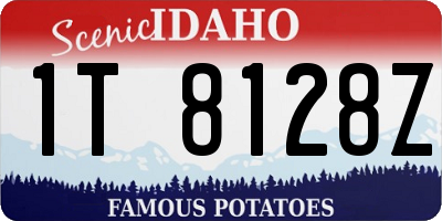 ID license plate 1T8128Z