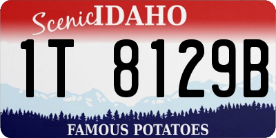 ID license plate 1T8129B