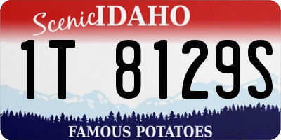 ID license plate 1T8129S