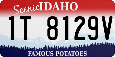 ID license plate 1T8129V