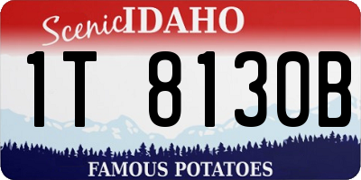 ID license plate 1T8130B