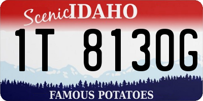 ID license plate 1T8130G