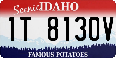 ID license plate 1T8130V