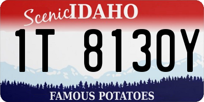 ID license plate 1T8130Y