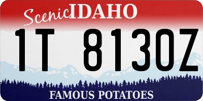 ID license plate 1T8130Z