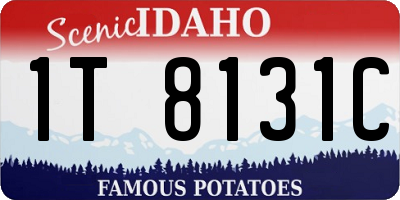 ID license plate 1T8131C
