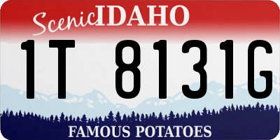 ID license plate 1T8131G
