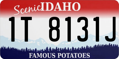 ID license plate 1T8131J