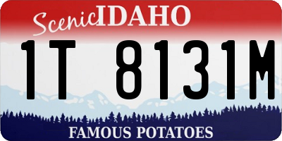 ID license plate 1T8131M