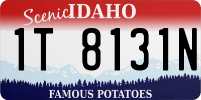 ID license plate 1T8131N