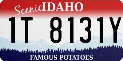 ID license plate 1T8131Y