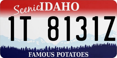 ID license plate 1T8131Z