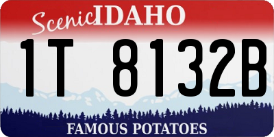 ID license plate 1T8132B