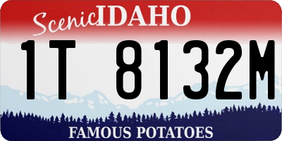 ID license plate 1T8132M