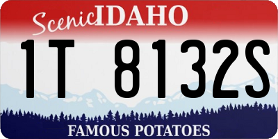 ID license plate 1T8132S