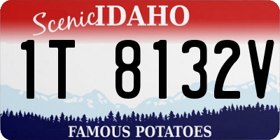 ID license plate 1T8132V