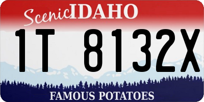 ID license plate 1T8132X
