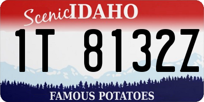 ID license plate 1T8132Z