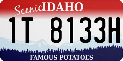 ID license plate 1T8133H