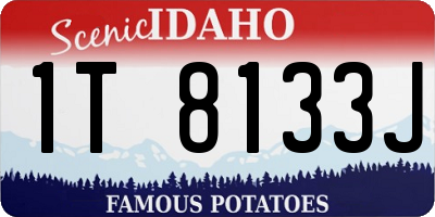 ID license plate 1T8133J