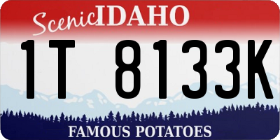 ID license plate 1T8133K