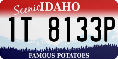 ID license plate 1T8133P