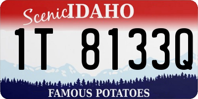 ID license plate 1T8133Q
