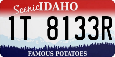 ID license plate 1T8133R