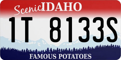 ID license plate 1T8133S