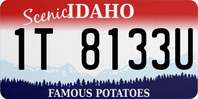 ID license plate 1T8133U