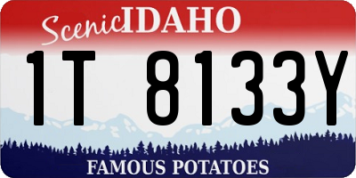 ID license plate 1T8133Y