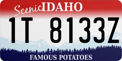 ID license plate 1T8133Z