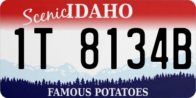 ID license plate 1T8134B