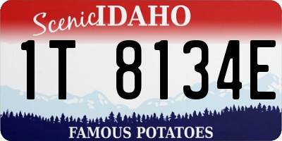 ID license plate 1T8134E